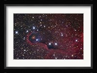 The Elephant Trunk Nebula Fine Art Print
