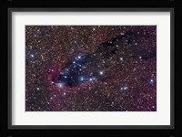 The Dark Tower, Cometary Globule in Scorpius Fine Art Print