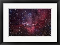 Emission Nebula in the Constellation Cepheus (NGC 7380) Fine Art Print