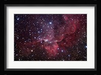 Emission Nebula in the Constellation Cepheus (NGC 7380) Fine Art Print