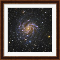 The Fireworks Galaxy Fine Art Print