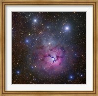 The Trifid Nebula located in Sagittarius Fine Art Print