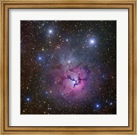 The Trifid Nebula located in Sagittarius Fine Art Print