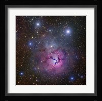 The Trifid Nebula located in Sagittarius Fine Art Print