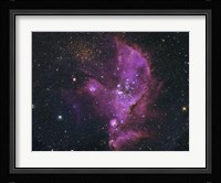 Open Cluster and Nebula Complex in the Small Magellanic Cloud Fine Art Print