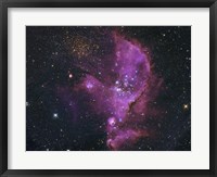 Open Cluster and Nebula Complex in the Small Magellanic Cloud Fine Art Print