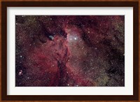 Emission Nebula in Ara (NGC 6188) Fine Art Print