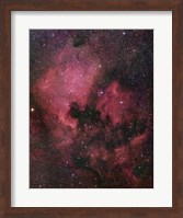 The North America Nebula Fine Art Print