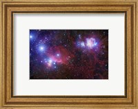 The Belt Stars of Orion Fine Art Print