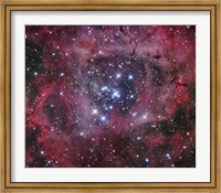 The Open Cluster within the Rosette Nebula (NGC 2244) Fine Art Print
