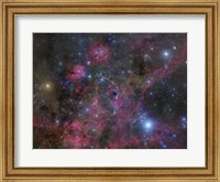 The Vela Supernova Remnant Fine Art Print