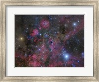 The Vela Supernova Remnant Fine Art Print