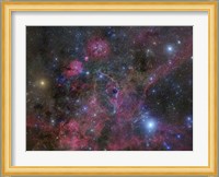 The Vela Supernova Remnant Fine Art Print