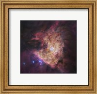 Trapezium Cluster at Center of Orion Nebula Fine Art Print