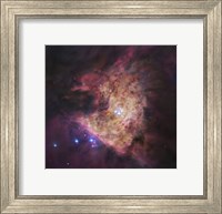 Trapezium Cluster at Center of Orion Nebula Fine Art Print