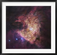 Trapezium Cluster at Center of Orion Nebula Fine Art Print