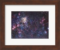 The Tarantula Nebula Fine Art Print