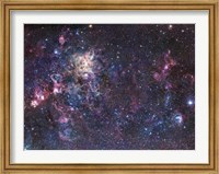 The Tarantula Nebula Fine Art Print