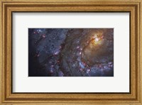 Close-up of the Southern Pinwheel Galaxy Fine Art Print