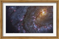 Close-up of the Southern Pinwheel Galaxy Fine Art Print