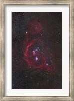 The Orion Constellation Fine Art Print