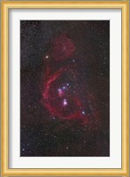 The Orion Constellation Fine Art Print