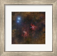 The Cat's Paw and Lobster Nebulae in Scorpius Fine Art Print