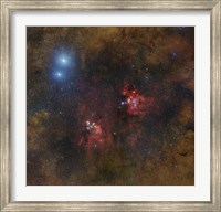 The Cat's Paw and Lobster Nebulae in Scorpius Fine Art Print
