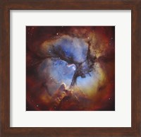 The Trifid Nebula in Sagittarius Fine Art Print