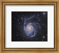 The Pinwheel Galaxy in Ursa Major Fine Art Print