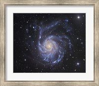 The Pinwheel Galaxy in Ursa Major Fine Art Print
