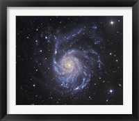 The Pinwheel Galaxy in Ursa Major Framed Print