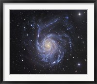 The Pinwheel Galaxy in Ursa Major Fine Art Print