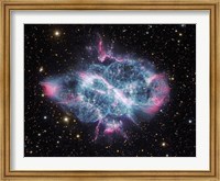 Planetary Nebula in Musca Fine Art Print