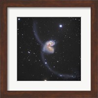 The Antennae Galaxies in the constellation Corvus Fine Art Print