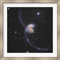 The Antennae Galaxies in the constellation Corvus Fine Art Print