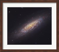 Spiral Galaxy in the Constellation Draco Fine Art Print