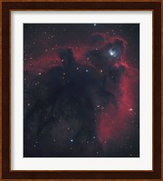 Cometary Globule in Orion Fine Art Print