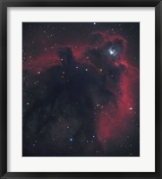 Cometary Globule in Orion Fine Art Print