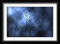 Stormy Skies Fine Art Print