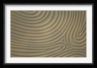 Circles in the Sand Fine Art Print