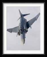 Luftwaffe F-4F Phantom II Fine Art Print