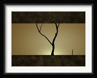 Tree at Sunset Fine Art Print