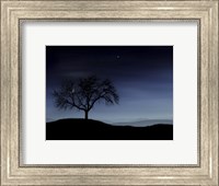Tree and the Moon Fine Art Print