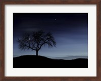 Tree and the Moon Fine Art Print
