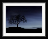 Tree and the Moon Fine Art Print