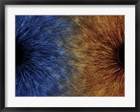 Duality Motif Fine Art Print