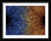 Duality Motif Fine Art Print