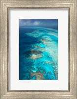 Arlington Reef, Great Barrier Reef Marine Park, North Queensland, Australia Fine Art Print