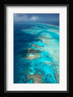 Arlington Reef, Great Barrier Reef Marine Park, North Queensland, Australia Fine Art Print